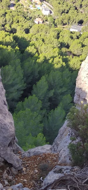 Mont Gibaou, Baou Redon et grotte des Janots - Cassis - 17