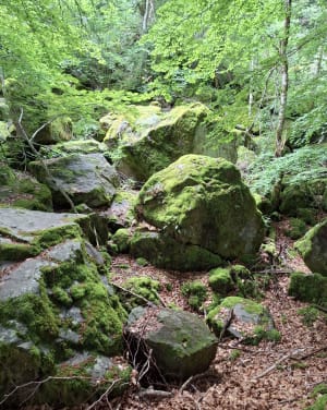 La porte du lion de Thiézac et la cascade Lafon - Thiézac - 7