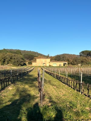 Grimaud : balade 5 étoiles autour du château - Grimaud - 23