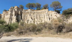 Orgelwandeling in Ille-sur-Têt - Ille-sur-Têt - 35
