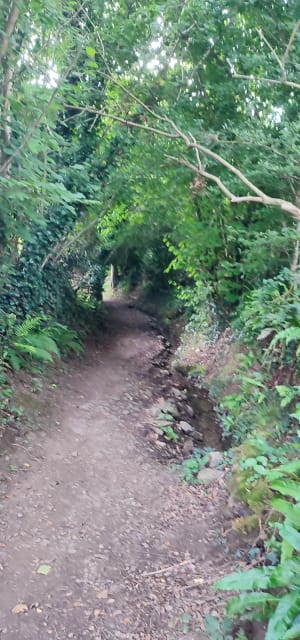 Boucle de Sainte Barbe - Plestin-les-Grèves - 48