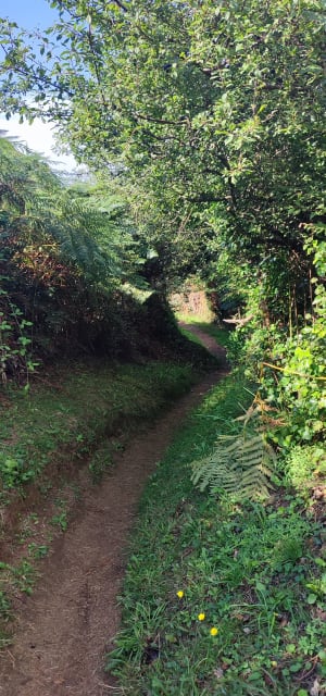 Boucle de Sainte Barbe - Plestin-les-Grèves - 49