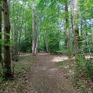 Entre la Touques et le Chaussey - Blangy-le-Château - 10