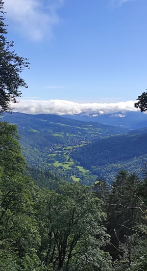Sentier des Roches par la l'auberge des Trois Fours - Le Valtin - 33