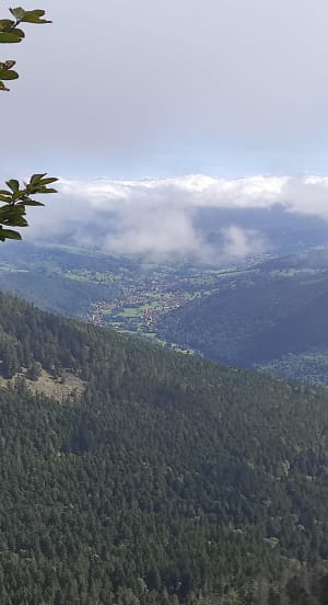 Sentier des Roches par la l'auberge des Trois Fours - Le Valtin - 35
