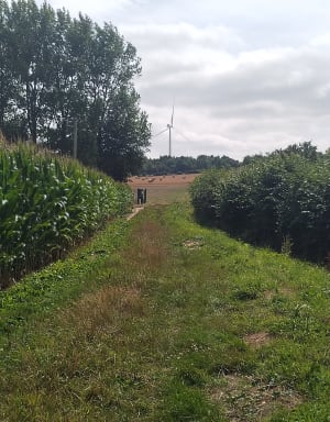Tour du Mont Capet - Febvin-Palfart - 4