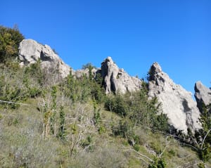 Rocher de Julie - Montgaillard - 37