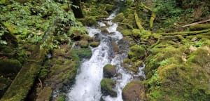 Cascades des Tufs - Les Planches-près-Arbois - 23