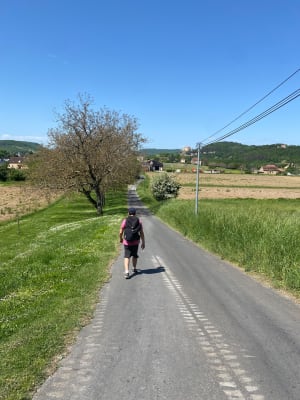 Tour de Castelnaud - Castelnaud La Chapelle - 21