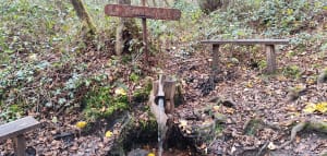 Le sentier du guêpier - Étrepigney - 11