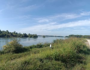 Belle balade entre la Tête d'Or, Grand Large et Miribel - Caluire-et-Cuire - 8