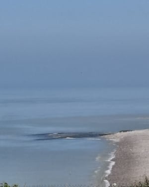 Randonnée au calme entre Veulettes et Malleville - Veulettes-sur-Mer - 9