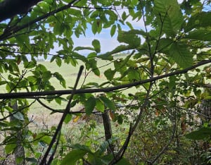 Sur les hauteurs de Jardin - Jardin - 15