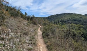 Wandel langs de oevers van de Ouysse-heropleving en het turquoise water - Rocamadour - 20