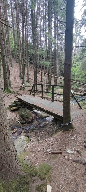 Le sentier des ruisseaux - Castans - 7
