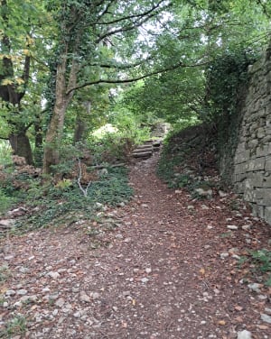 La Creuse et les fontaines autour du fort de Blamont - Blamont - 7