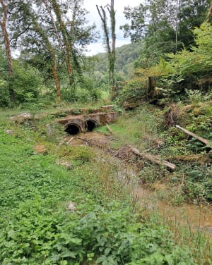 La Creuse et les fontaines autour du fort de Blamont - Blamont - 8