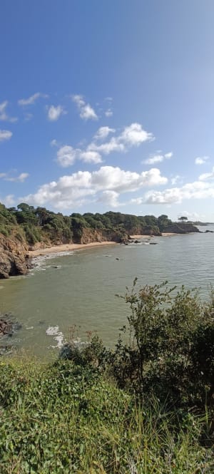 Fascinante Saint-Nazaire et plongeon dans l’histoire - Johanne - 11