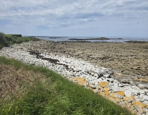 Grand tour de l'île de Batz et beauté de ses plages - Île de Batz - 63