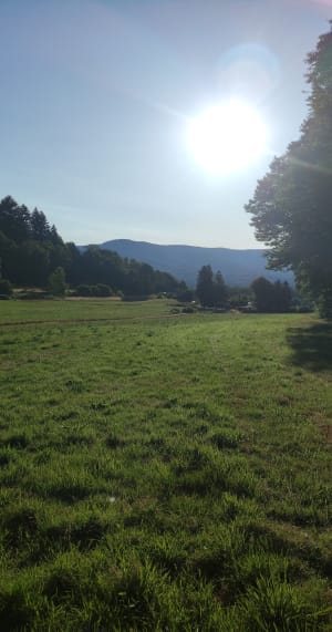 Bon dimanche autour de la Tête de Chaux - Chaux - 8