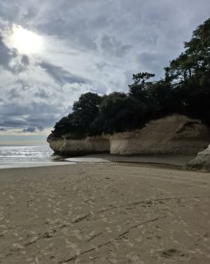 Visite touristique de Meschers sur Gironde - Meschers-sur-Gironde - 14