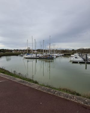 Visite touristique de Meschers sur Gironde - Meschers-sur-Gironde - 15