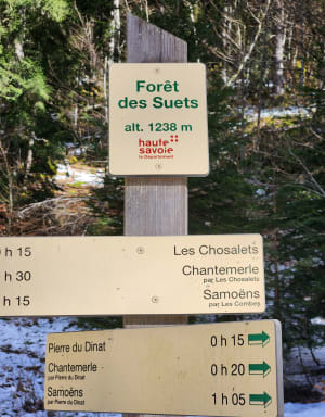 Tour de la forêt des Suets à Samoëns - Samoëns - 8