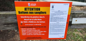 Route du Canebas et évasion sensorielle sur la côte varoise - Cyndie - 9