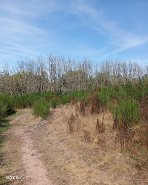 Sortie cool à l'orée de la forêt de Paimpont et château hanté - Paimpont - 3