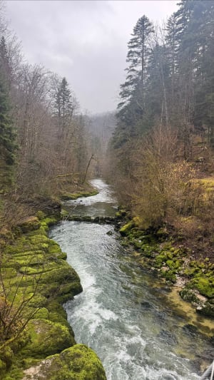 Découverte de la Bienne par Doye Gabet - Hauts-de-Bienne - 20