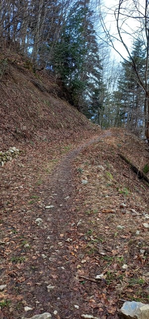 Rando au monastère de Chalais - Voreppe - 7