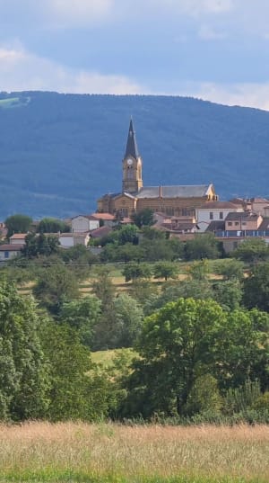 Petite ballade à Bessenay, Mont du Lyonnais - Bessenay - 3