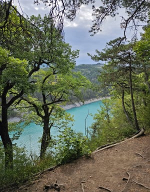 Pont du Brion et passerelle sur l'Ebron par la forêt - Treffort - 6