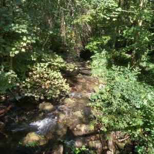 Devil's Breach en Marie Joly Natuurpad - Potigny - 29