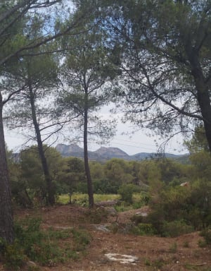 Eyguières et le cirque de Borme - Eyguières - 2