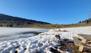 Lac des Confins et ses alpages colorés - La Clusaz - 5
