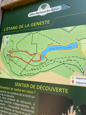 Moment hors du temps autour de l'étang de la Geneste - Versailles - 5
