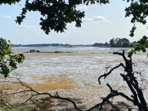 Le petit tour de la Ria vers Saint-Guillaume - Plouhinec - 8