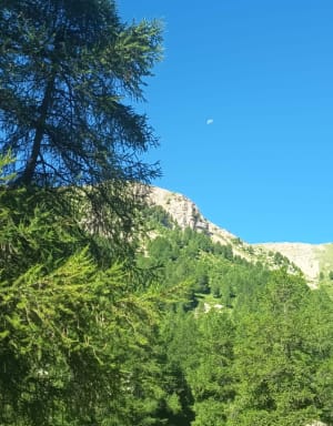 Mont Guillaume par les Séyères depuis Porte de la Forêt - Virginie - 17