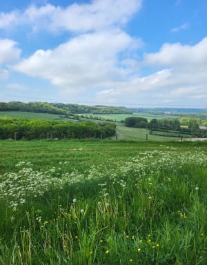 Boucle au Mont de Quesques - Quesques - 7