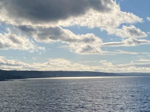 Entre terre et mer autour de Fermanville et par le GR® 223 - Fermanville - 17