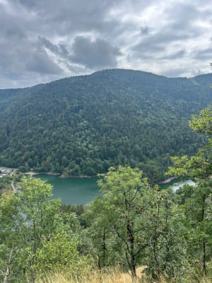 Lac de Sewen et d'Alfeld - Sewen - 6