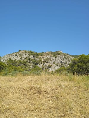 Wandel onder de bomen van de Luberon - Cheval-Blanc - 4