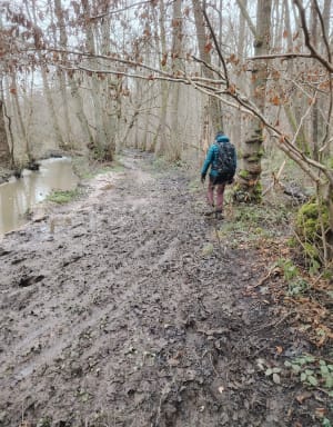 Bois des Cinq-Cents-Arpents et nature aux mille facettes - Nabil - 6
