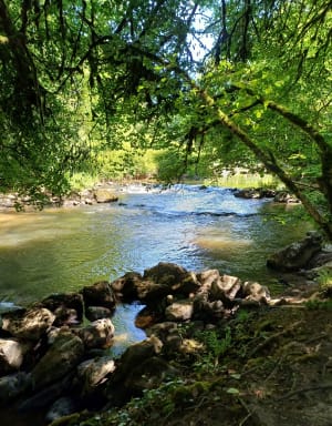 Sortie à pieds dans le couesnon - Mézières-sur-Couesnon - 16