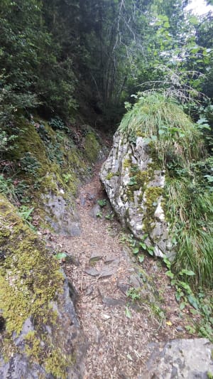 Paisible escapade au Chemin des buis et barrage hydraulique - Aragnouet - 7