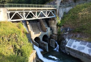 Paisible escapade au Chemin des buis et barrage hydraulique - Aragnouet - 8