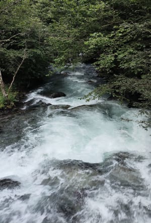 Paisible escapade au Chemin des buis et barrage hydraulique - Aragnouet - 9