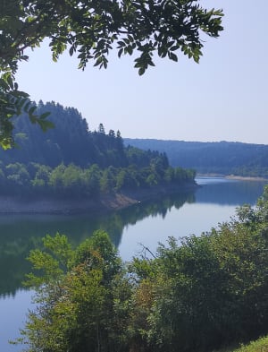 Tour du Lac des Cammazes et partie de pêche - Les Cammazes - 5