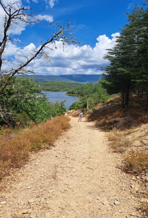 Het meer van Méaulx en de vallei van Gourre - Saint-Paul-en-Forêt - 5